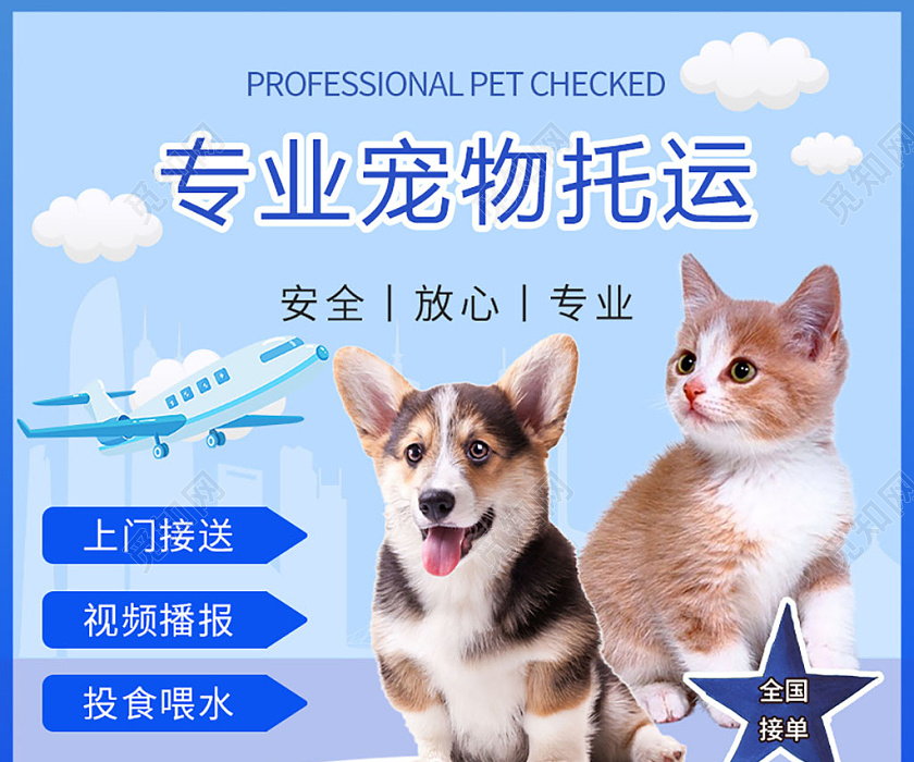 藍色幾何寵物專業(yè)寵物托運宣傳主圖 | 寵物服務(wù)主圖