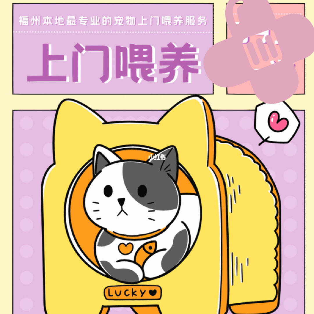 春節(jié)期間福州寵物上門喂養(yǎng)服務(wù)接單忙，用心守護(hù)毛孩子過(guò)年團(tuán)圓
